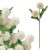 product_4099_6a042e6eb70b9.jpg