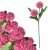 product_4100_6a042e776ecd6.jpg