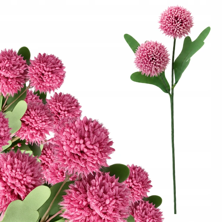 product_4100_6a042e776ecd6.jpg
