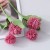 product_4100_6a042e7c2b911.jpg