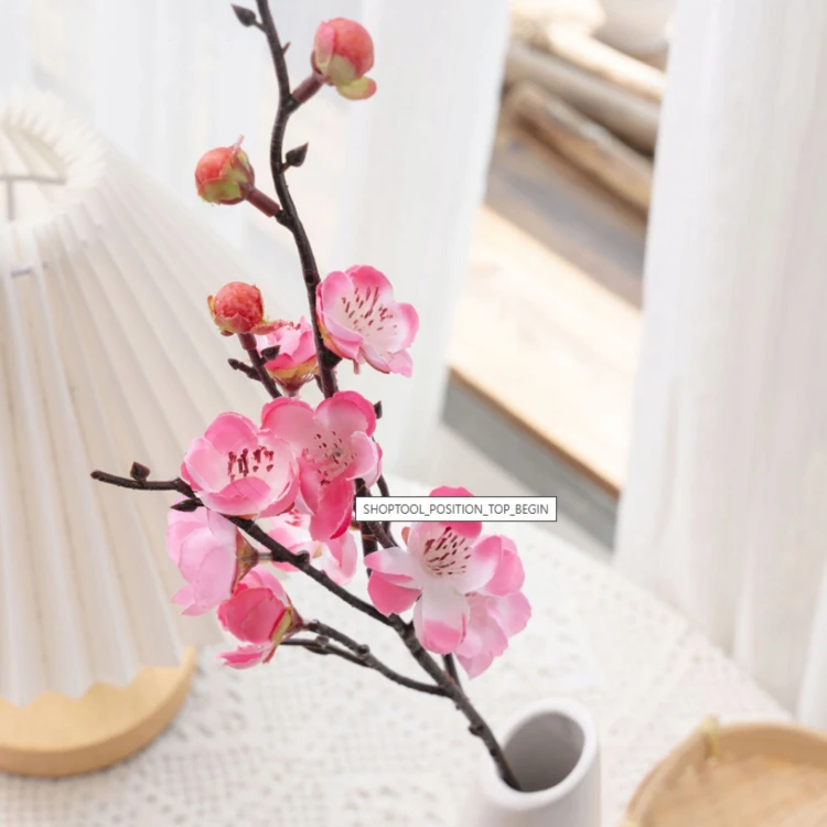 product_4101_6a042e7f9dbcb.jpg