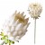 product_4104_6a042f44d32bd.jpg