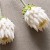 product_4104_6a042f45d0e5a.jpg