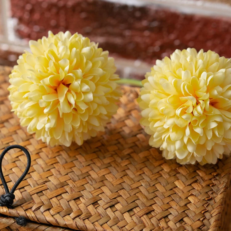 product_4105_6a042f4c38b59.jpg