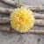 product_4105_6a042f4d29bfc.jpg
