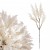 product_4106_6a042f5222fde.jpg