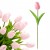 product_4108_6a042f5e22f9a.jpg