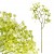 product_4109_6a042f65792c5.jpg