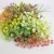 product_4110_6a042f6c3657e.jpg