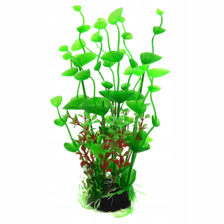 product_4114_6a043157c1109.jpg