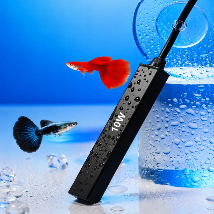 product_4131_6a12e8e976691.jpg