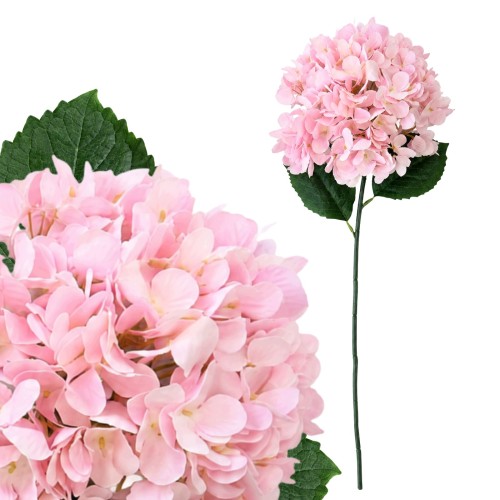 product_4149_6a81816c366bf.jpg
