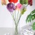 product_4153_6a835cf9f13b1.jpg