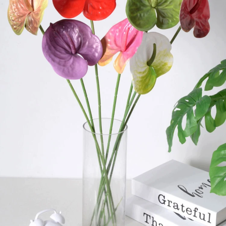 product_4153_6a835cf9f13b1.jpg