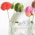product_4154_6a835cffdece2.jpg