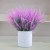 product_4160_6a835d14e3ef5.jpg