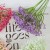 product_4162_6a835d1c394a8.jpg