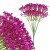 product_4178_6a835f3d7ecfe.jpg