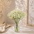 product_4180_6a835f487dfbe.jpg