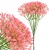 product_4181_6a835f4a11cbd.jpg