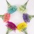 product_4181_6a835f4aebd0a.jpg