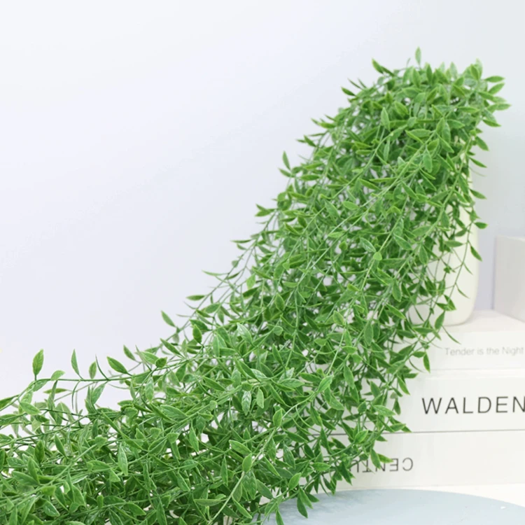 product_4184_6a835fa08ab28.jpg