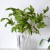 product_4185_6a835fa3d87eb.jpg