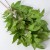 product_4185_6a835fa4d3eef.jpg