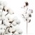 product_4186_6a835fa646944.jpg