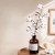 product_4186_6a835fa7e9f99.jpg