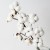 product_4186_6a835fa8cd36d.jpg