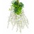 product_4187_6a835fab04c1b.jpg