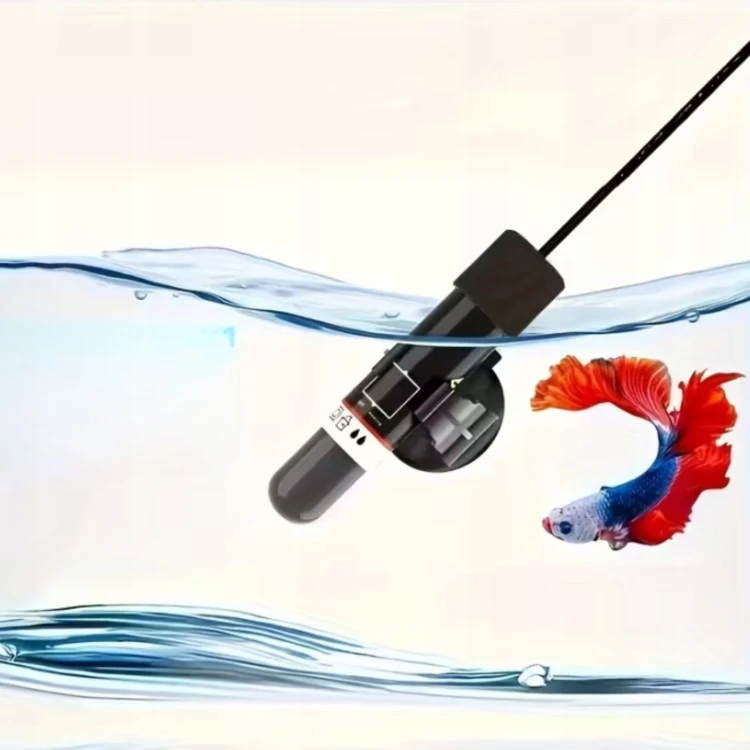 product_4199_6a957a8b84aed.jpg