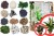 product_4200_6ab7cdbdc213b.jpg