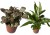 product_4200_6ab7cdbf4f997.jpg