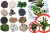 product_4201_6ab7cdcb28ded.jpg