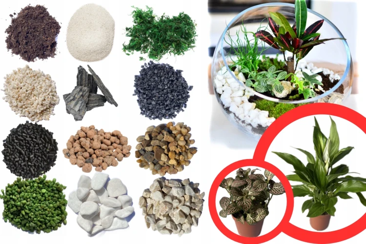 product_4201_6ab7cdcb28ded.jpg