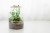 product_4203_6ab7cdf014a2a.jpg