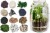 product_4204_6ab7cdf17313c.jpg