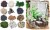 product_4205_6ab7cdfece0b8.jpg