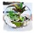 product_4206_6ab7ce59ba8fd.jpg