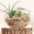 product_4206_6ab7ce5bc6d73.jpg