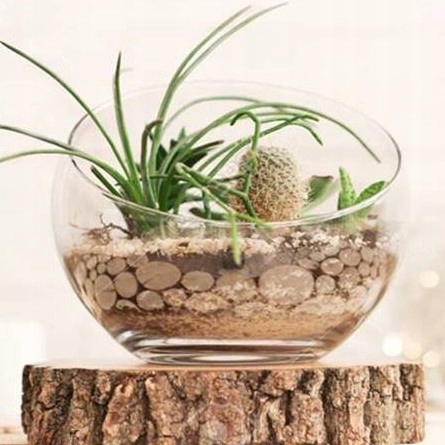 product_4206_6ab7ce5bc6d73.jpg