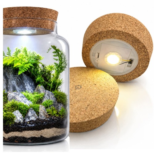 product_4208_6ab7ceb694e78.jpg