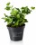 product_4209_6ab7d94e159d0.jpg