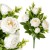 product_4211_6abed672bd862.jpg