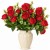 product_4212_6abed677187d0.jpg