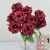 product_4215_6abed70a4e31c.jpg