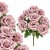product_4216_6abed70bbf7fb.jpg