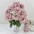 product_4216_6abed70d452ee.jpg
